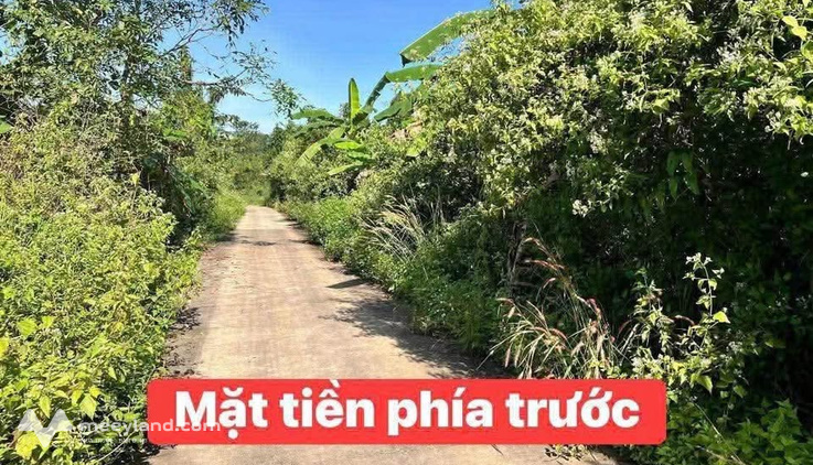 Bán 1145m2 đất mặt tiền đường bê tông tại Phú Tân, Định Quán, Đồng Nai