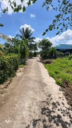 Đất vườn Tân Lý Đông, nơi tìm về chốn bình yên