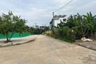 Sốc nhiệt với lô đất vườn 225m2 tại Lê Thái Tổ, giá rẻ giật mình