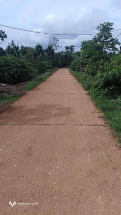 Đất nông nghiệp diện tích lớn 507m2 tại Hoà Phú, Buôn Ma Thuột