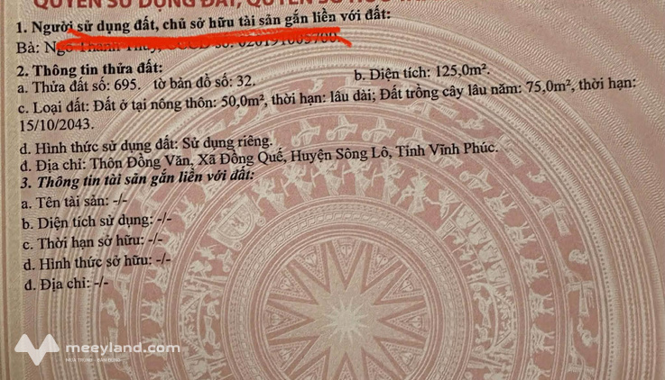 Bán đất trục chính Đồng Quế, Sông Lô, Vĩnh Phúc, 125m2, kinh doanh tốt