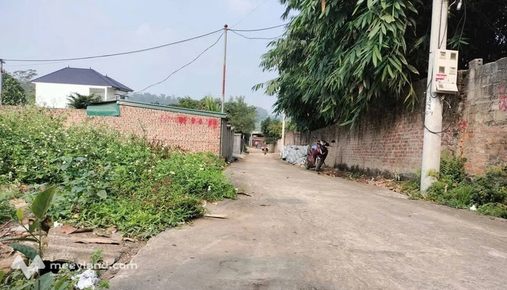 Lô đất siêu xinh tại Hướng Đạo, Tam Dương, vốn nhỏ đầu tư cực hời