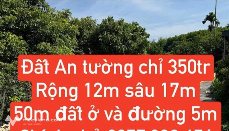 Đất An Tường, Phúc Thọ, giá chỉ hơn 300 triệu, đầu tư cực cháy
