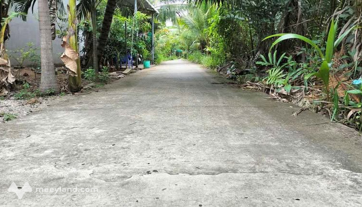 Đất tặng nhà tại Châu Hòa, Giồng Trôm, giá cực yêu thương