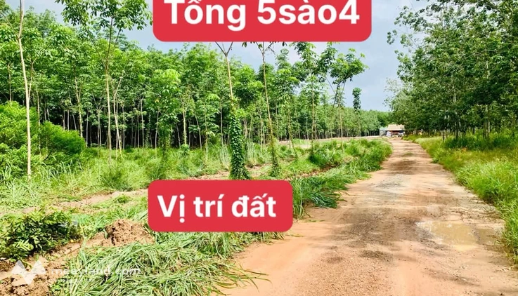 Đất vườn rộng rãi 5,4 sào tại Lai Uyên, Bàu Bàng, Bình Dương