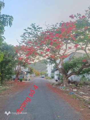 Đất vị trí vàng Núi Sam, Châu Đốc, kinh doanh cực đỉnh