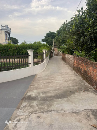 Bán lô đất Đại Đồng, Tân Hòa, Thái Bình, giá chỉ 600 triệu
