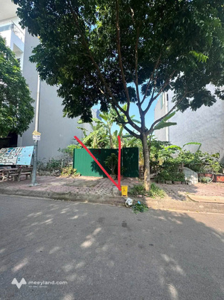 Đất khu đô thị Âu Việt, thành phố Hải Dương, diện tích 65m2