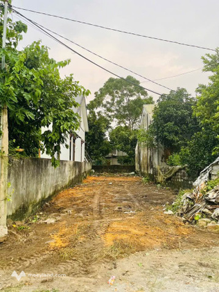 Bán lô đất 139m2 tại xã Cao Ngạn, thành phố Thái Nguyên
