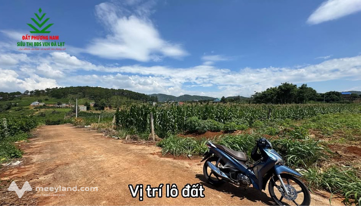 Lô đất view đẹp tại Gia Lâm, Đắk Nông, nở hậu tài lộc