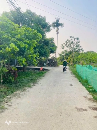 Lô đất giá rẻ tại Việt Cường, Hoá Thượng - Cơ hội đầu tư cực hời