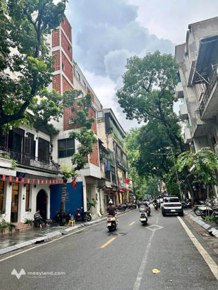 Bán đất tặng nhà mặt phố Triệu Việt Vương, Hai Bà Trưng, lô góc kinh doanh đắc địa