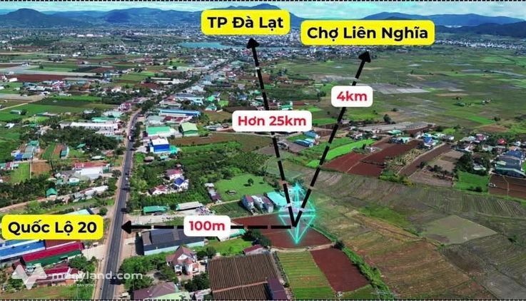 Đất đẹp Phú Hội, giá rẻ giật mình, chốt nhanh kẻo lỡ
