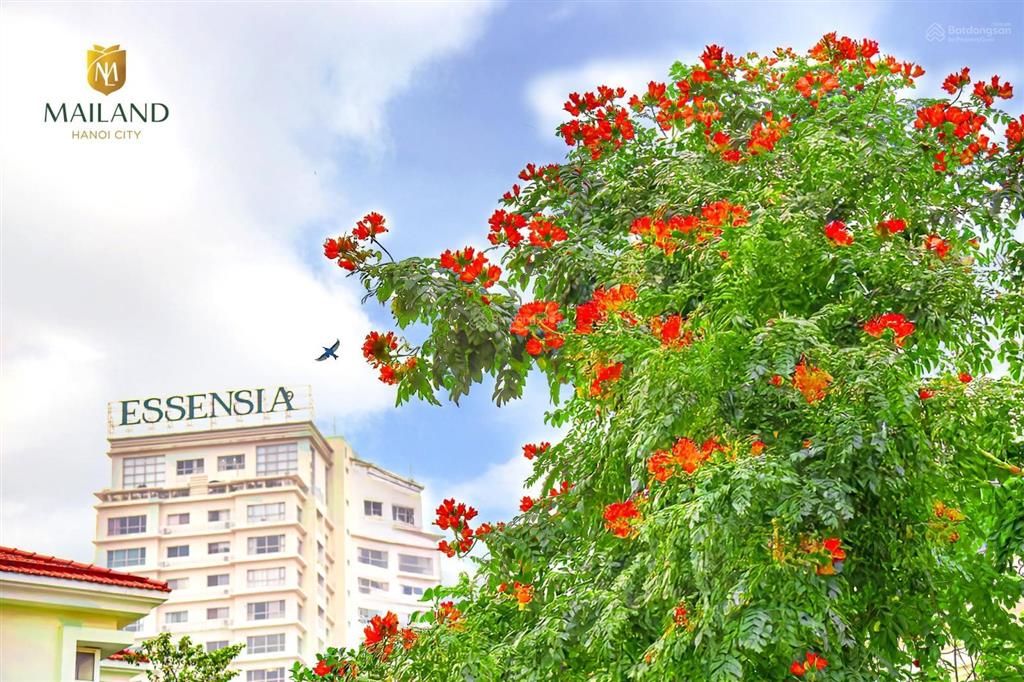Chính chủ bán căn hộ 109m² splendora an khánh mailand hà nội city, full nội thất, giá chỉ 7,x tỷ