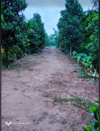 Sở hữu ngay đất vườn view sông Ba Lai cực chill tại Châu Hòa