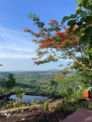 1.400m² đất view sông La Ngà – Giá chỉ 1,2 tỷ
