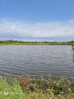 Đất ao tôm giá rẻ bất ngờ tại Vĩnh Hiệp, Vĩnh Châu