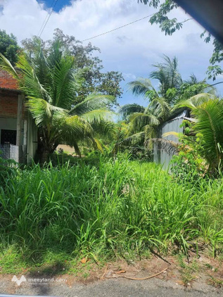 Đất view sông Bến Tre giá chỉ 630 triệu, nở hậu cực đẹp