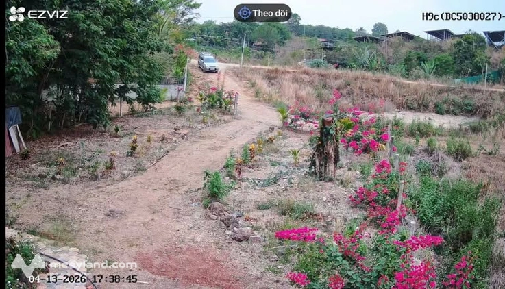Bán đất 3.3 sào tại Buôn Đôn, Đắk Lắk, đường rộng, sổ riêng