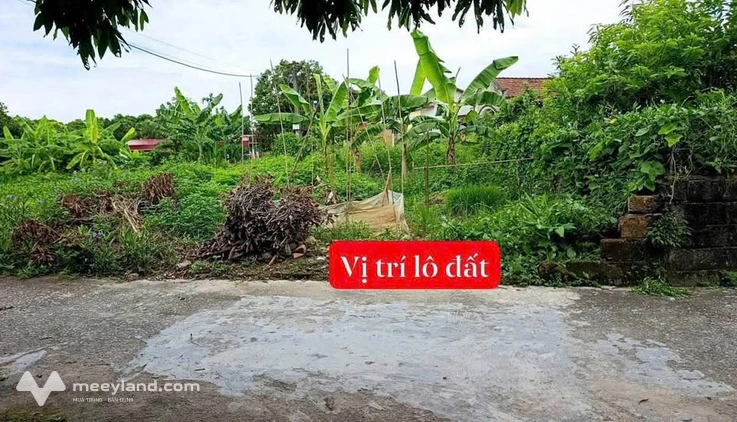 Lô đất đẹp tại Nam Lý, Lý Nhân, đầu tư đón sóng khu công nghiệp cực hot