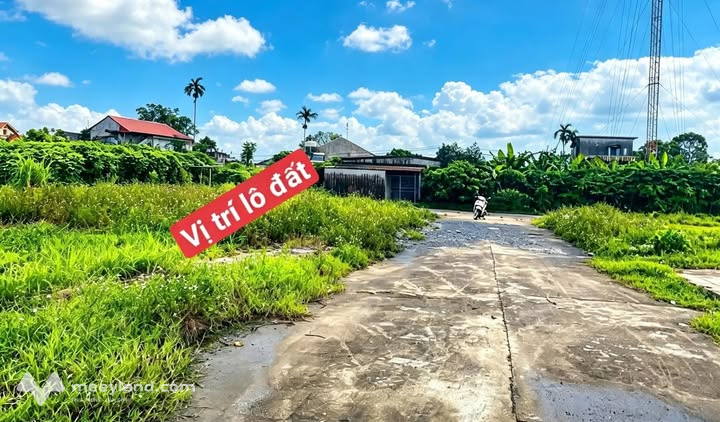 Đất nền phân lô vỉa hè cực đẹp tại đấu giá Phú Phúc, Lý Nhân