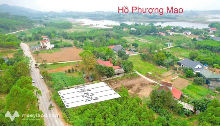 Đất nền tiềm năng mặt tỉnh lộ 317B, Thanh Thủy, Phú Thọ
