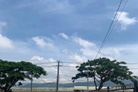 Lô đất đẹp bằng phẳng tại thị trấn Thạnh Mỹ, Đơn Dương, giá chỉ 750 triệu