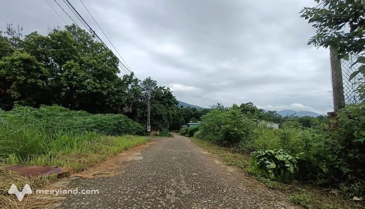 Đất nền Tiên Phong, Cẩm Khê, vị thế nở hậu, khởi đầu thịnh vượng