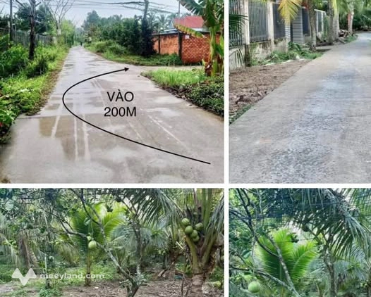 Nền đẹp Phú An, Châu Thành, Bến Tre, ngang gần 8m, giá chỉ 490 triệu
