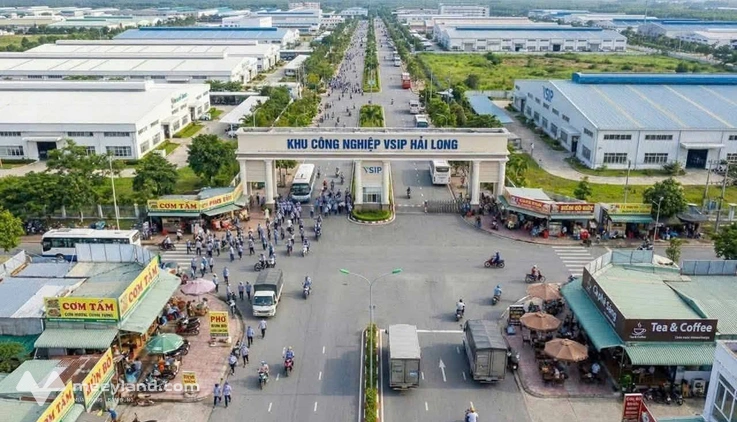 Đất vàng cổng chợ Quất Lâm, giá chỉ hơn 1 tỷ, chốt nhanh kẻo lỡ