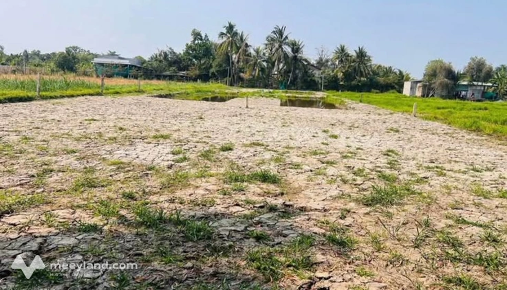 Cần bán lô đất vườn với diện tích rộng rãi 544m2 tại phường Khánh Hậu, Tân An, giá 680 triệu