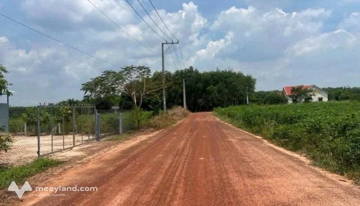 Cơ hội sở hữu 1000m2 đất tại Bàu Bàng, Bình Dương với giá chỉ 1,2 tỷ