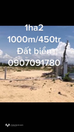 Đất vàng Ninh Thuận, Hơn 1,2 ha view đồi cát, giá mềm như bún