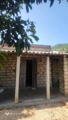 Sở hữu ngay 4000m2 đất nông nghiệp Mỹ Tường 2, giá rẻ như cho