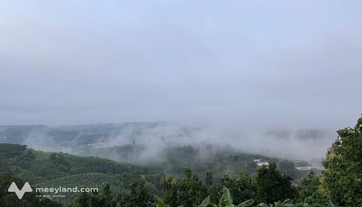 Đất đẹp không chờ đợi - 1.500m² view sông La Ngà - Chỉ 1,1 tỷ