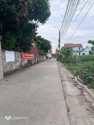 Đất tiềm năng tại Nguyên Bì, Quất Động, Thường Tín, cơ hội đầu tư sinh lời