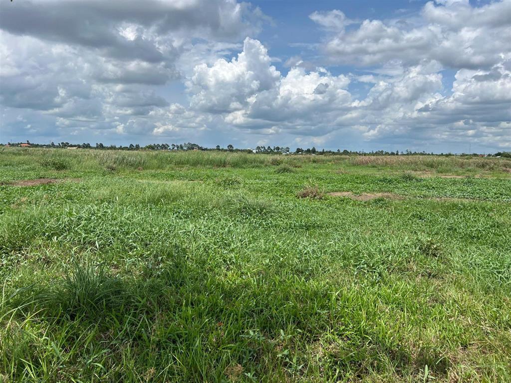 Cần bán 50.000m đất khu công nghiệp phú thuận, bến tre