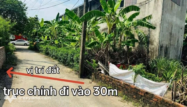 Đất 55m2 tại Bắc Hạ, Quang Tiến, Sóc Sơn, trí đắc địa