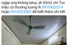 Nhà cấp 4 giá hời tại Yên Bái, vị trí vàng, tiện ích đầy đủ