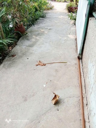 Bán nhà tại Phú Hưng, thành phố Bến Tre, phía trước nhà giáp rạch mang đến không khí trong lành, mát mẻ quanh năm