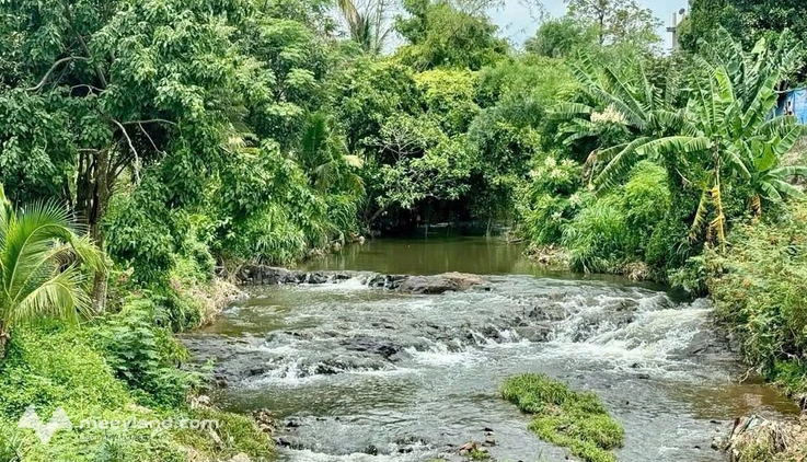 Bán đất nền gần chợ Hòa Nam, Đắk Lắk, diện tích 476m2, đường rộng 8m, giá 1,44 tỷ