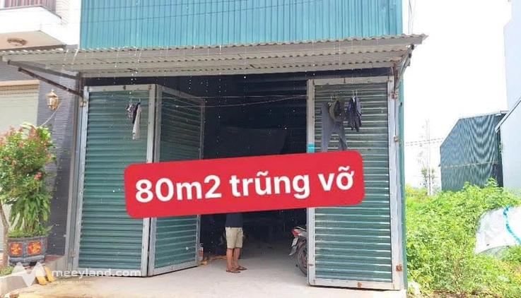 Bán đất 80m2 tại Khu Trũng Vỡ, Tân Hội, Đan Phượng, sổ đỏ chính chủ