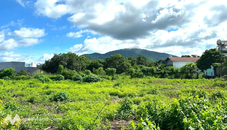 Bán lô đất 200m2, full thổ cư, view núi tại Xuân Lộc, Đồng Nai, giá 680 triệu
