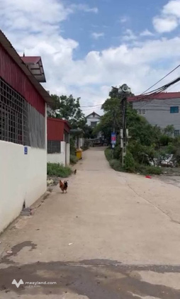 Cần bán gấp 2 lô đất liền kề nằm ngay mặt đường cổng sau khu Tái định cư Bệnh viện Đa khoa tỉnh Lạng Sơn