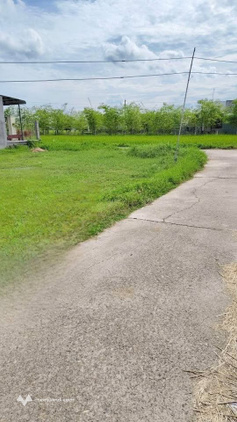 Đất thổ cư Bình An, Bình Thuận, giá rẻ bất ngờ, ô tô vào tận nơi