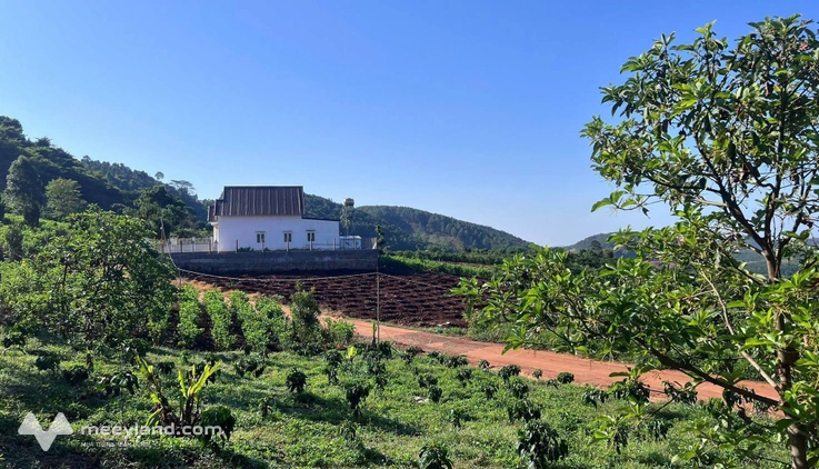 Sở hữu ngay 5900m2 view đồi núi cực chill tại Nam Ban, Đà Lạt