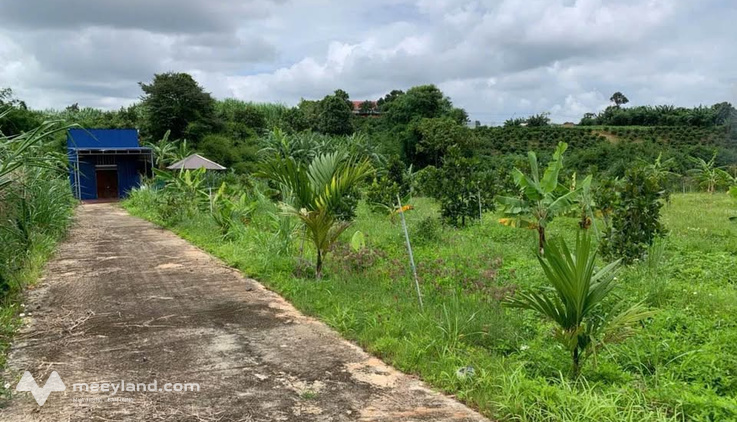 Đất vườn 3000m2 có ao suối, gần sân bay Liên Khương, giá 2,4 tỷ