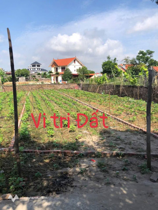 Bán lô đất 133m2 tại Lai Hạ, Trung Kênh, Bắc Ninh, vị trí đẹp, tiềm năng