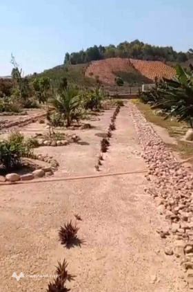 Sở hữu ngay khu vườn nghỉ dưỡng 2300m2 tại Đơn Dương, giá rẻ giật mình