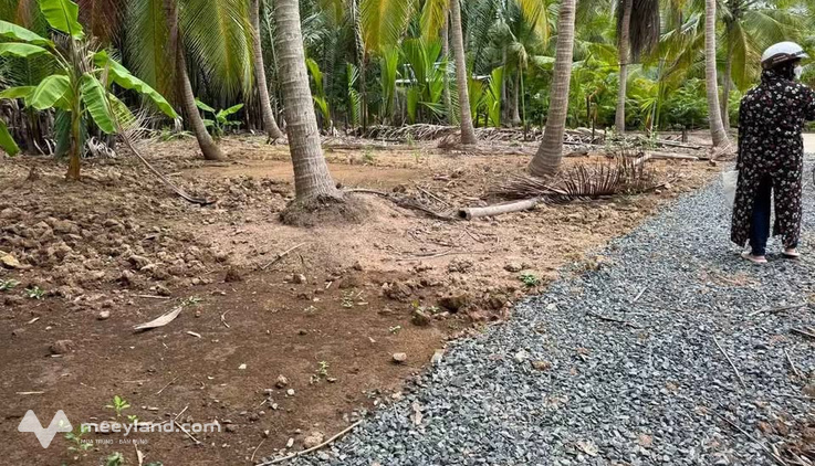 Bán đất nền tại xã Thành An, huyện Mỏ Cày Bắc, Bến Tre